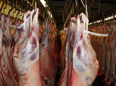 Agneau